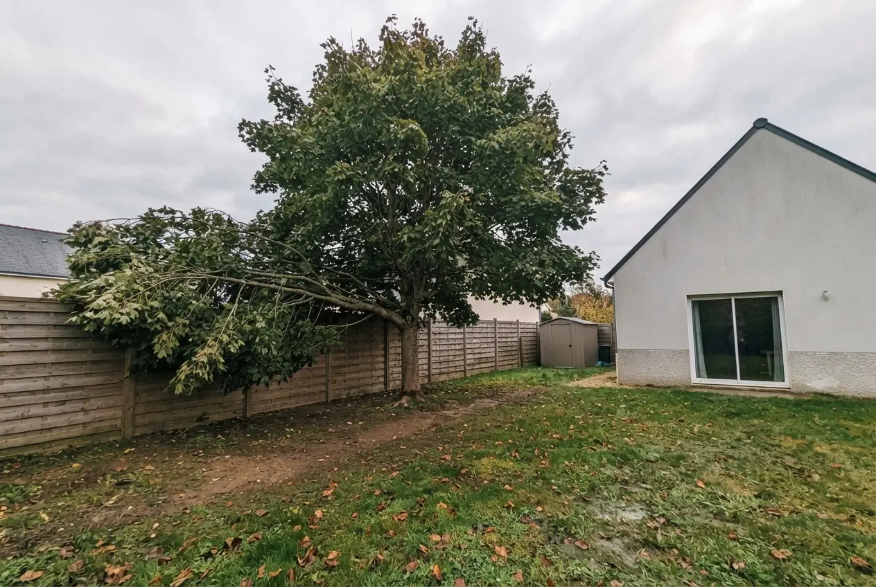 Chêne dense avant élagage dans un jardin à Bessines